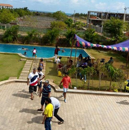 Annual Picnic